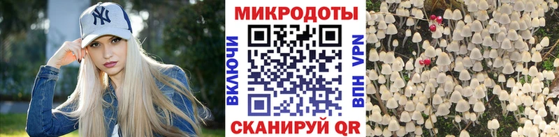 магазин  наркотиков  Демидов  Псилоцибиновые грибы мухоморы 